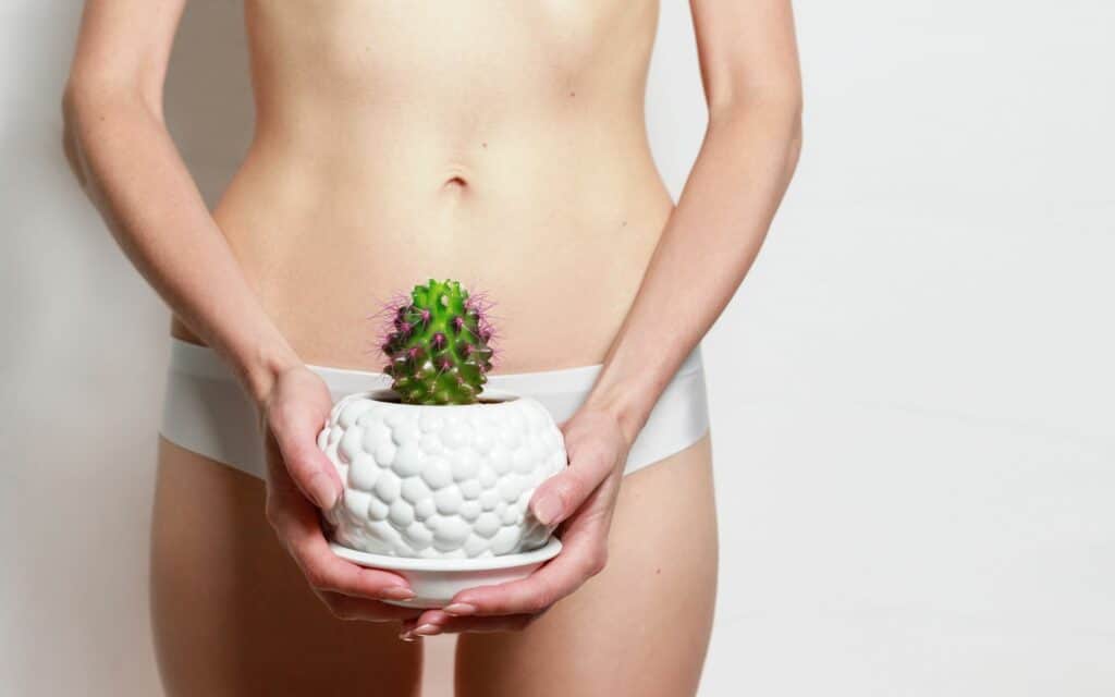 A person in white underwear holds a small potted cactus in front of their lower abdomen against a plain background.